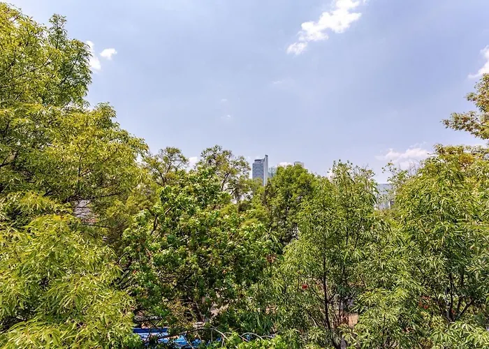 Appartement Cozy In Trendy Condesa