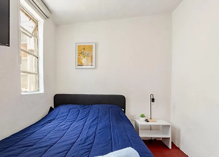 Appartement Cozy In Trendy Condesa